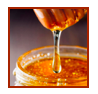 536,569 Honey Pot Stock Photos, Pictures & Royalty-Free Images - iStock