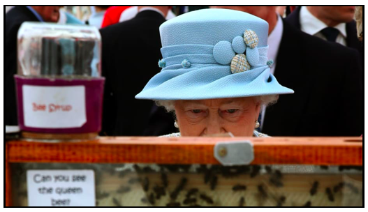 The Royal Beekeeper Has Informed the Hives of Queen Elizabeth II's Passing